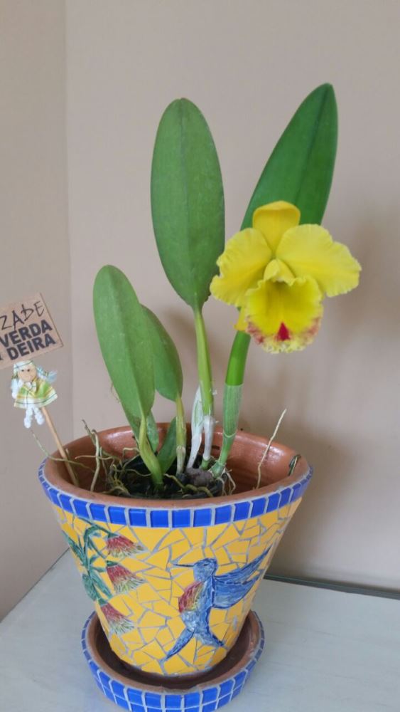 Portfolio - Mosaicos da Vila