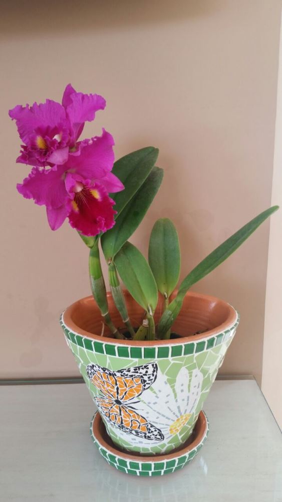 Portfolio - Mosaicos da Vila